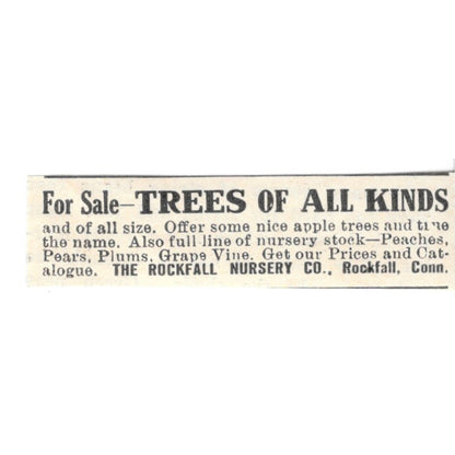 The Rockfall Nursery Co Trees Rockfall CT 1924 Ad AG3-S7
