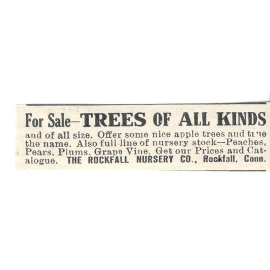 The Rockfall Nursery Co Trees Rockfall CT 1924 Ad AG3-S7