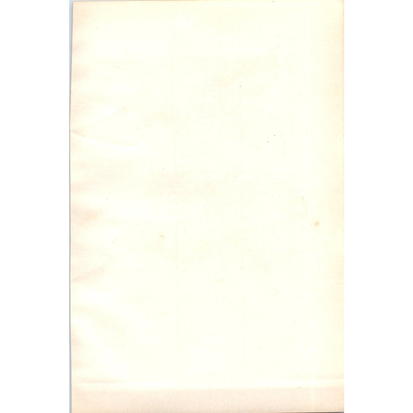 Nightingale Bird 1903 Original Color Engraving Plate Print AD8-B1