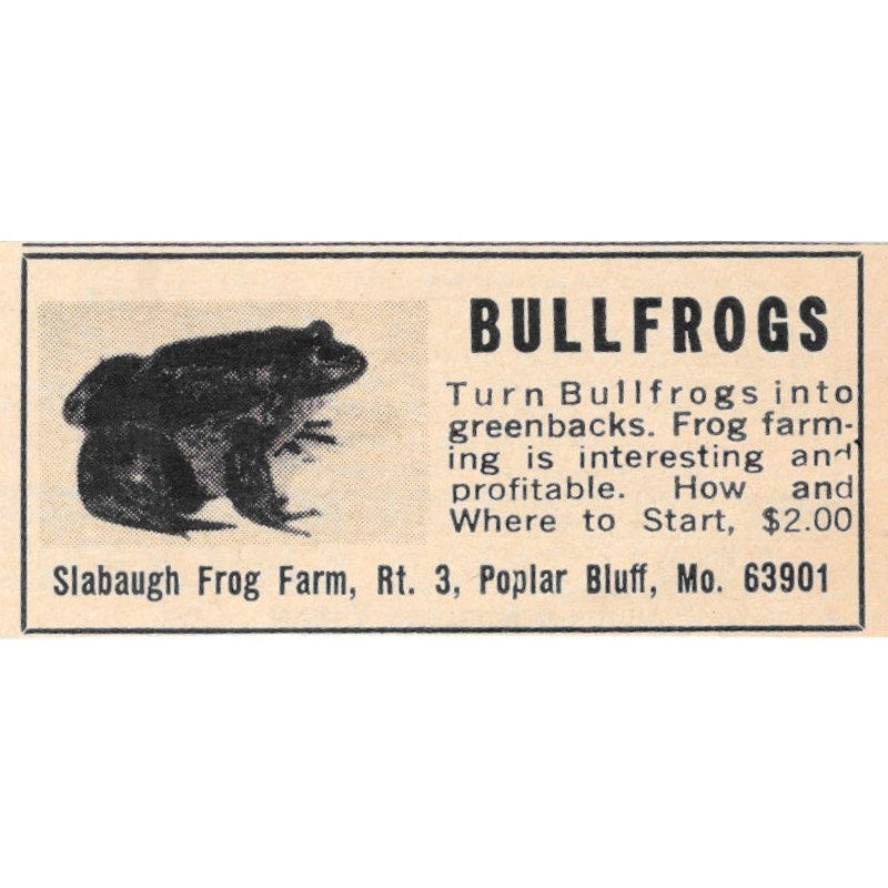 Slabaugh Frog Farm Bullfrogs Poplar Bluff MO 1977 Ad AF6-S2