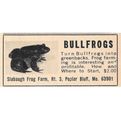 Slabaugh Frog Farm Bullfrogs Poplar Bluff MO 1977 Ad AF6-S2