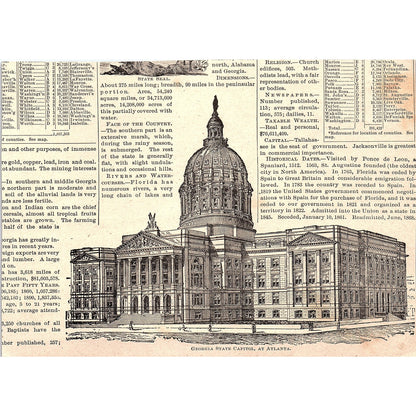 A Scene in Tropical Florida 1894 Art Engraving AG4-8