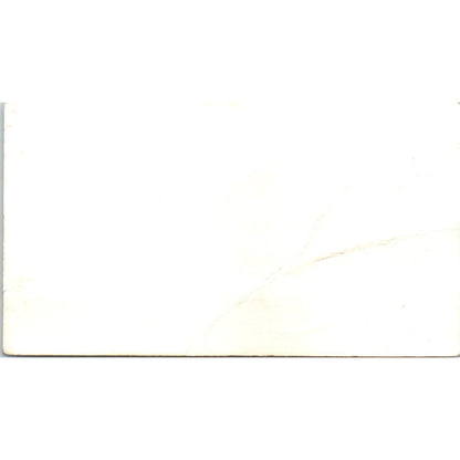 William J Scales Botnick Motor Corporation Binghamton NY Business Card SE3-B7