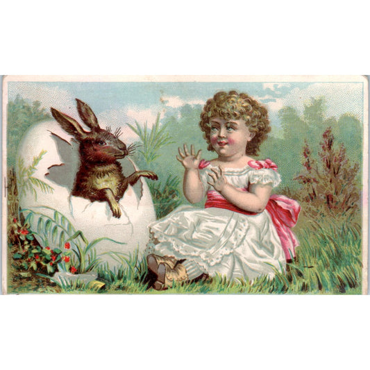 E.W. Smith Groceries Newport ME Easter Bunny in Egg c1880 Trade Card AB6-1