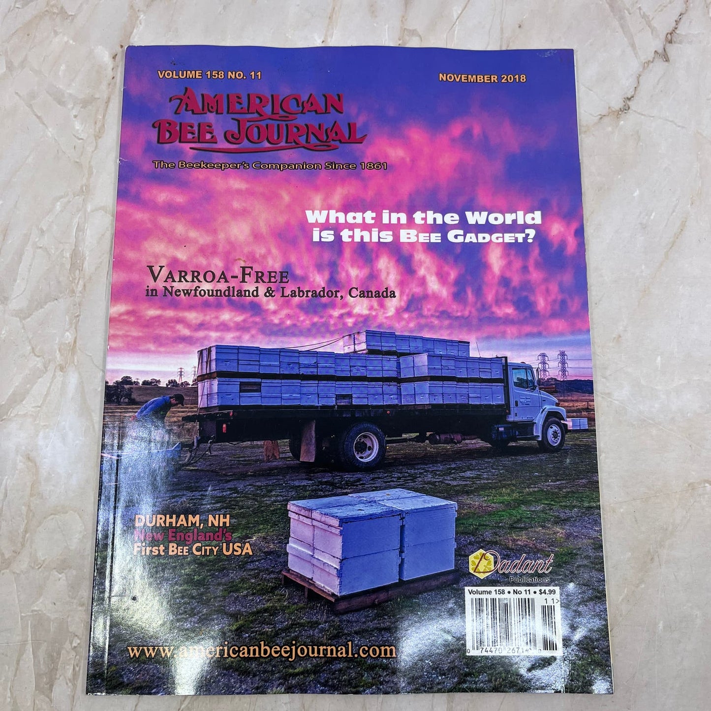 2018 Nov American Bee Journal Magazine Bees Beekeeping Honey M8