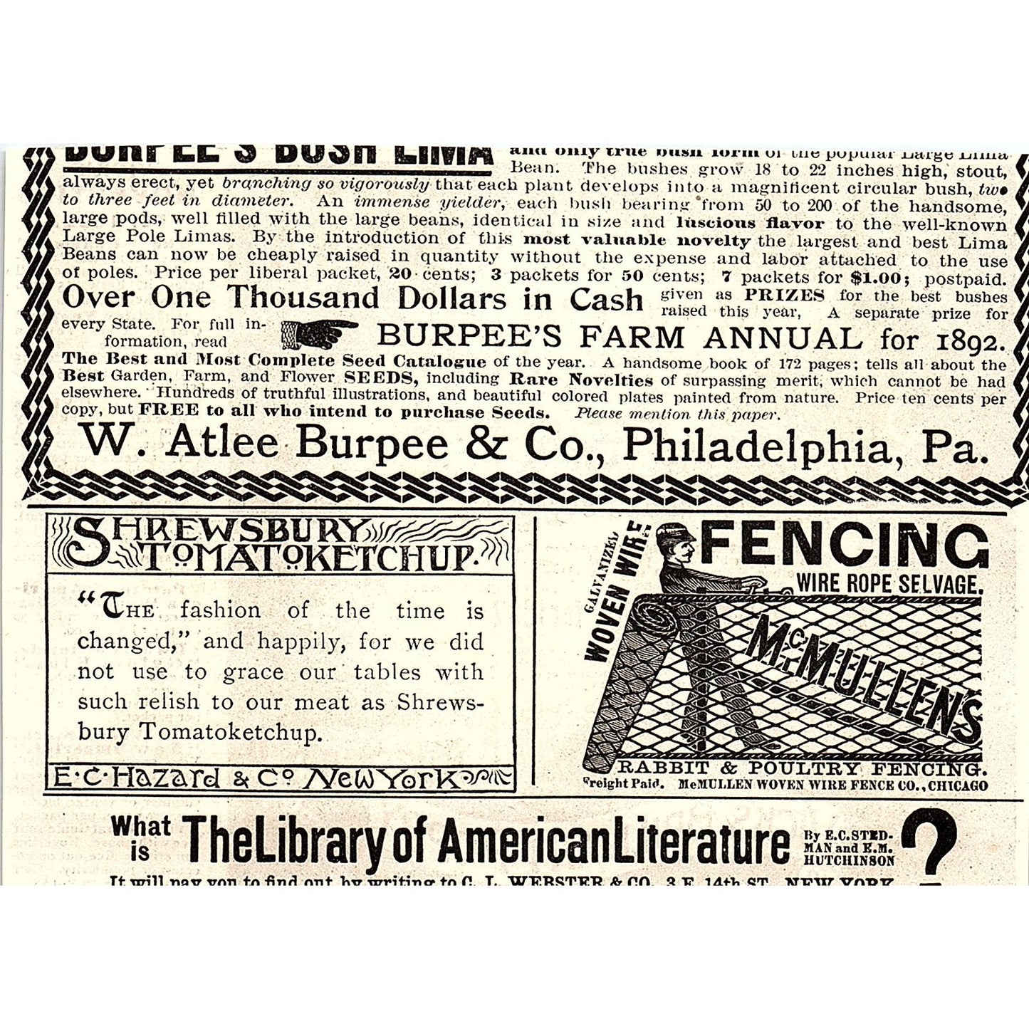 Vick's Brilliant Poppy James Vick's Sons Rochester NY 1892 Ad AG2-H5