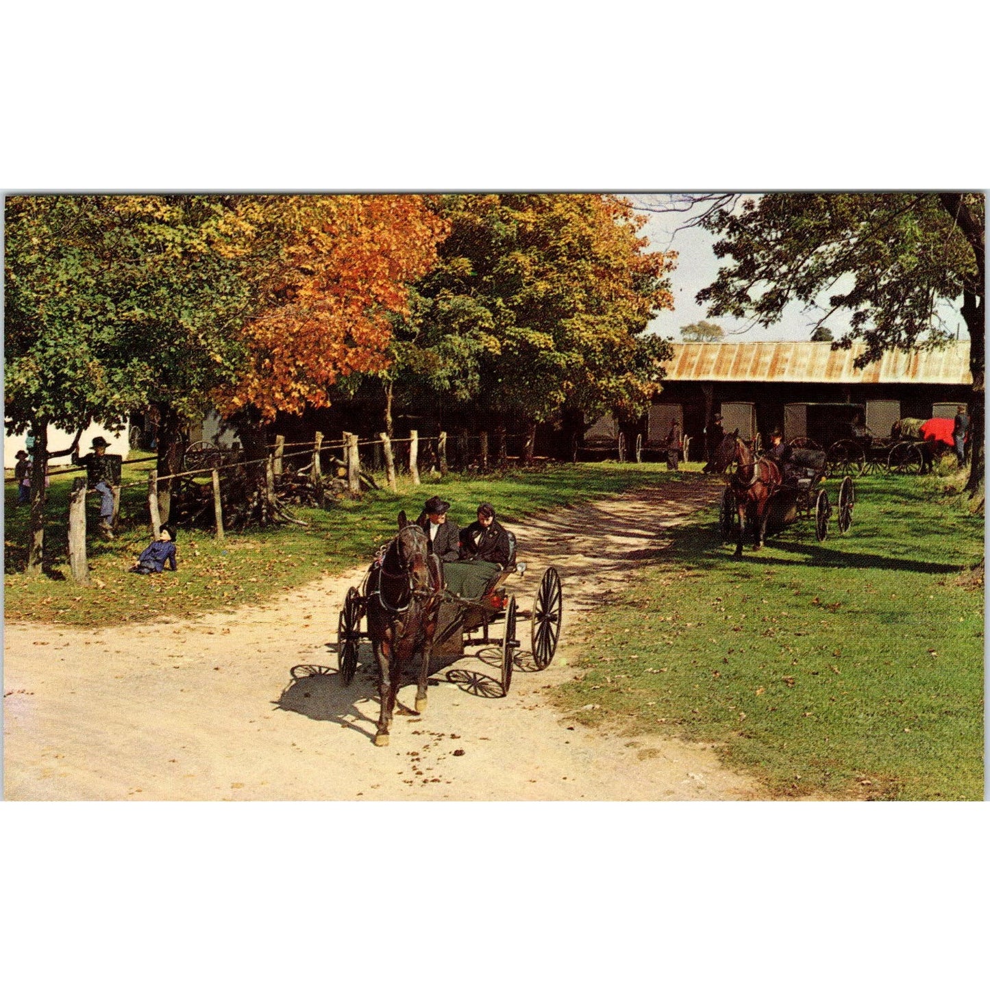 Dutchland Mennonite Courting Buggy Pennsylvania Dutch Country Postcard PD8