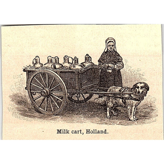 Milk Cart Pulled by Dog in Holland 2x3" 1901 Engraving AF6-M9