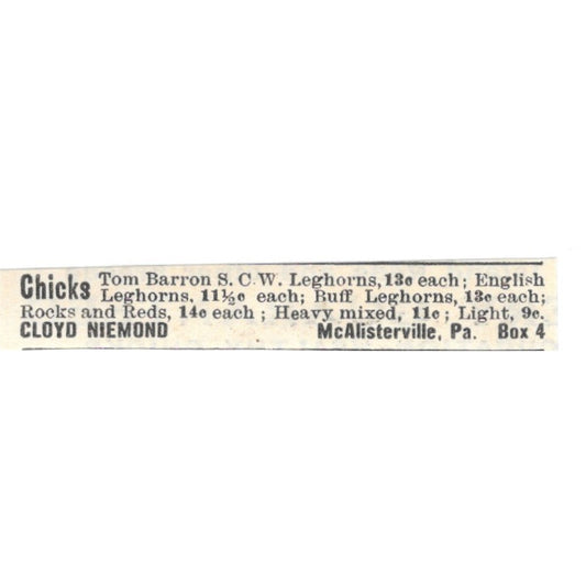 Cloyd Niemond Chicks McAlisterville PA 1924 Ad AG3-S9