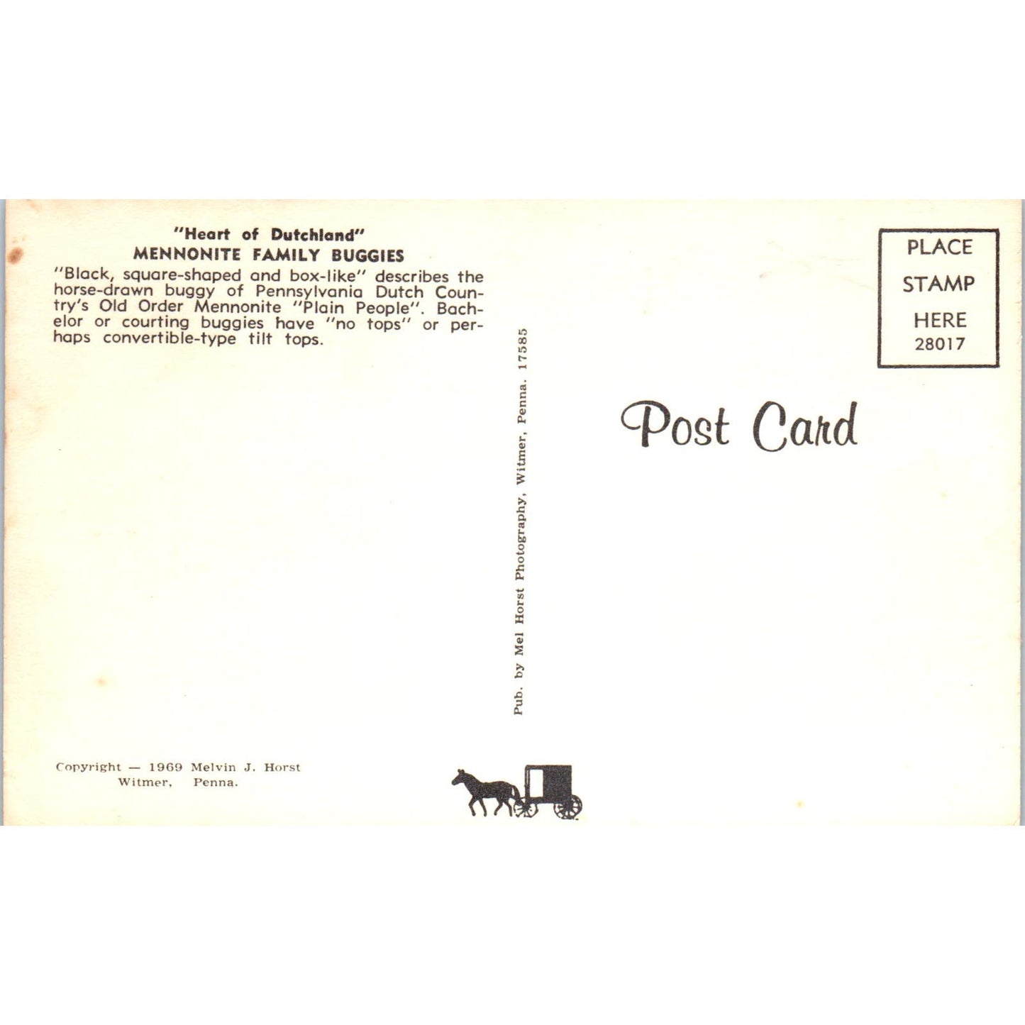 Mennonite Family Buggies Pennsylvania Dutch Country Postcard PD8