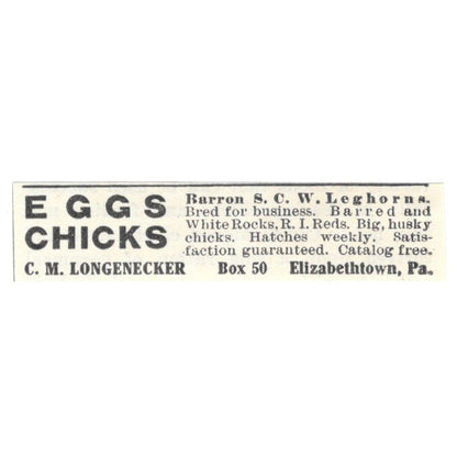 C.M. Longnecker Eggs Chicks Elizabethtown PA 1924 Ad AG3-S8