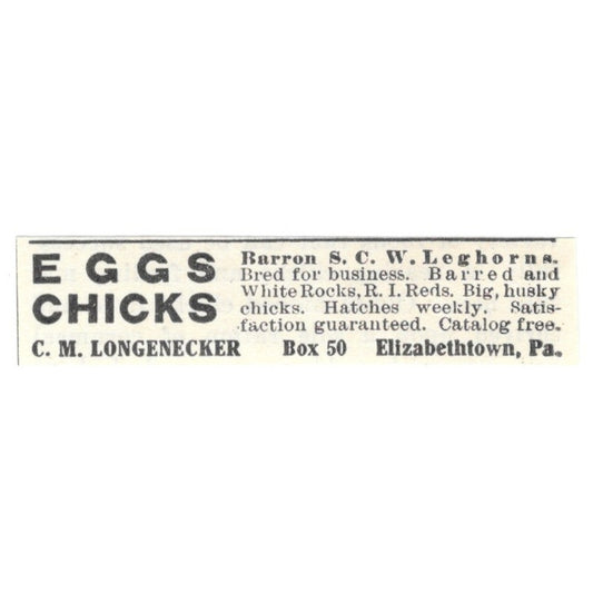 C.M. Longnecker Eggs Chicks Elizabethtown PA 1924 Ad AG3-S8