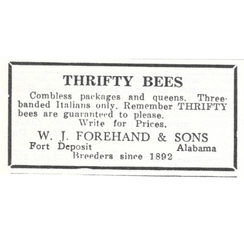 Thrifty Bees W.J. Forehand & Sons Fort Deposit AL 1961 Magazine Ad AK6-S13