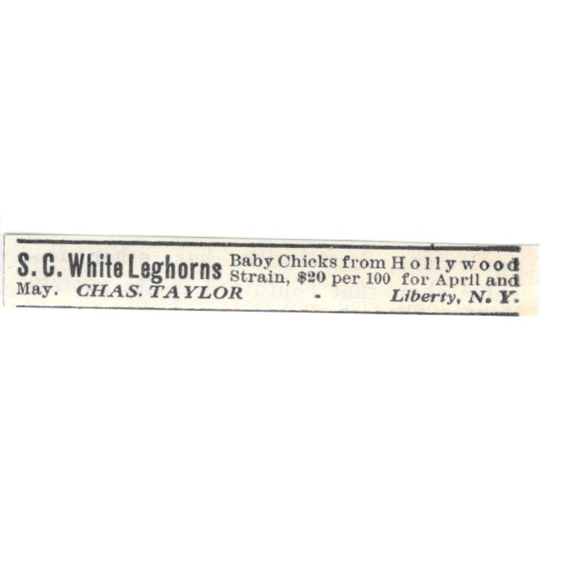 Chas. Taylor White Leghorns Liberty NY 1924 Ad AG3-S9
