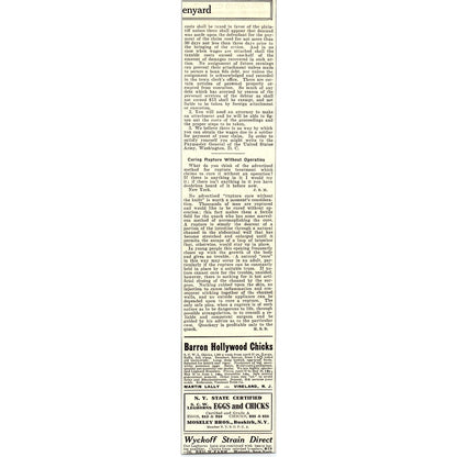 Chicken Egg Laying Contest Results New York State March 26 1924 Ad AG3-4