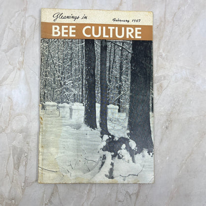 1967 Feb Gleanings in Bee Culture Magazine Bees Beekeeping Honey TD7