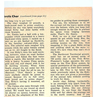 1977 Jayco Bird Campers Middlebury IN 1977 Ad AF6-5