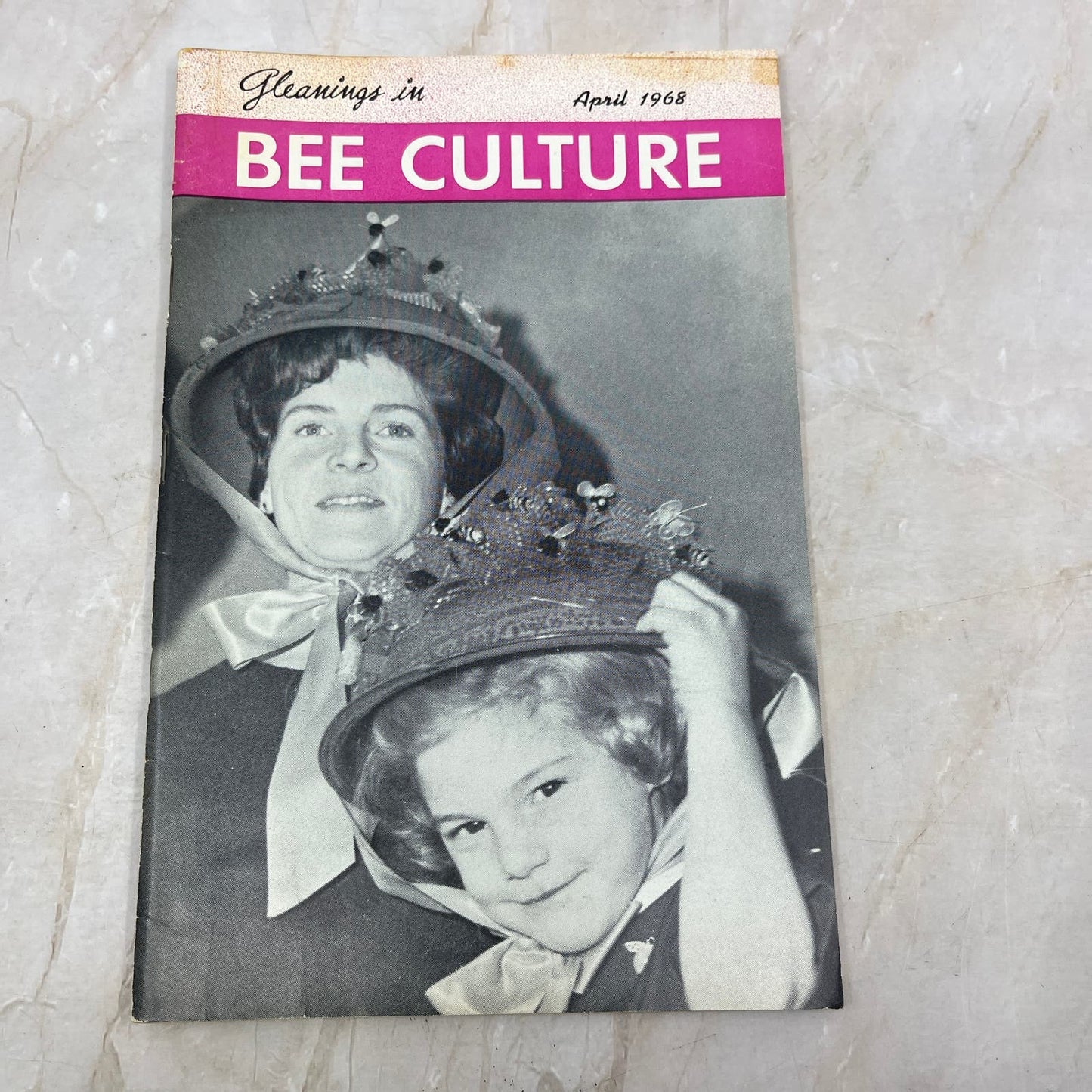1968 April Gleanings in Bee Culture Magazine Bees Beekeeping Honey TD7