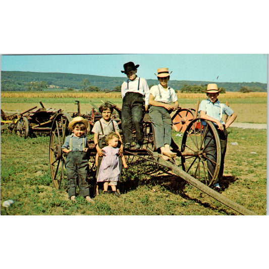 Amish Children Playing Among Farm Equipment PA Dutch Country Postcard PD8