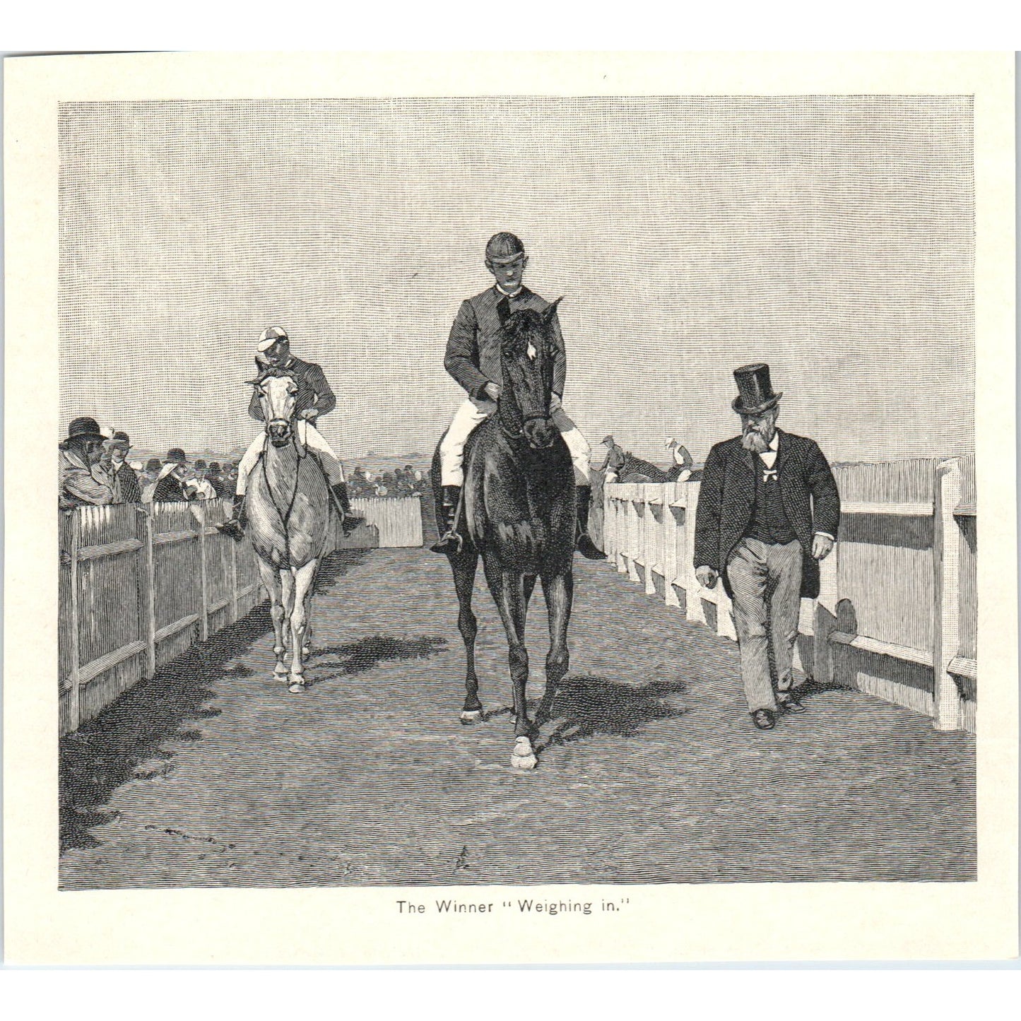 The Winning Horse Flemington Course Melbourne 1892 Magazine Print AK5-H8