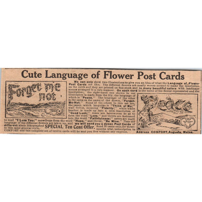 Floral Postcards Club Offer Comfort Augusta Maine 1910 Magazine Ad AF1-CM3
