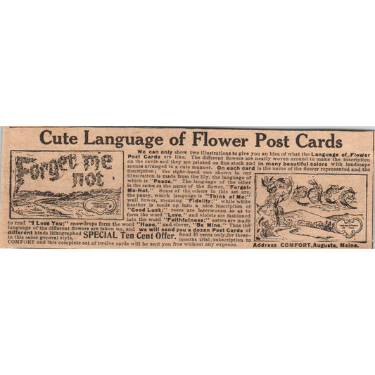 Floral Postcards Club Offer Comfort Augusta Maine 1910 Magazine Ad AF1-CM3