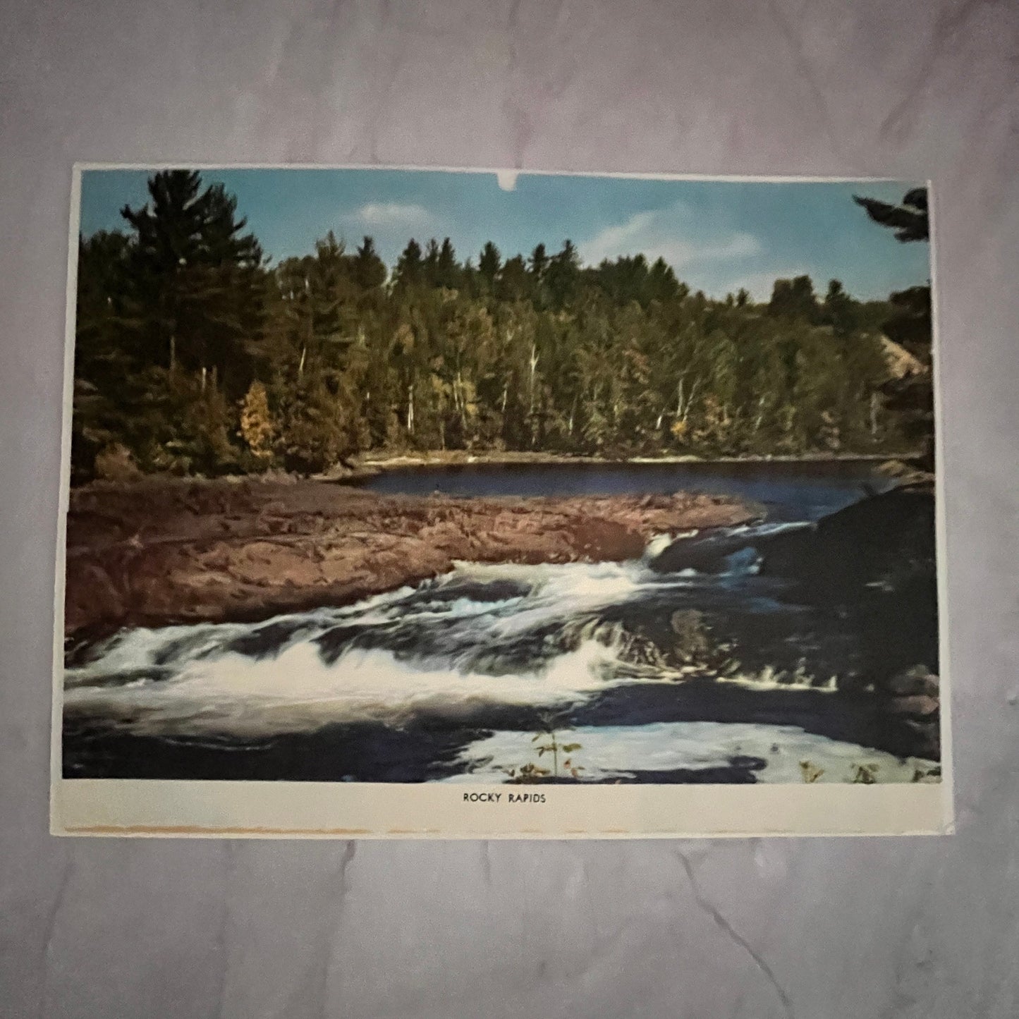 Rocky Rapids Forest River Scene 7x9" Art Print V23