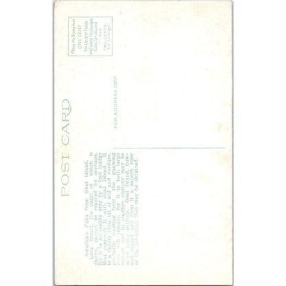 American Falls Goat Isle Niagara Falls Vintage Original Postcard PC10