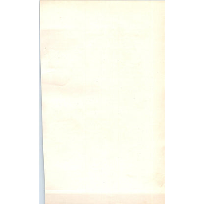 Jackdaw Bird 1903 Original Color Engraving Plate Print AD8-B3