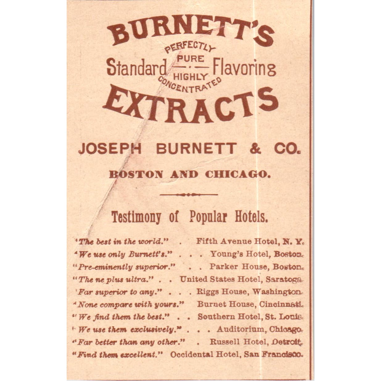 Burnett's Extracts Joseph Burnett & Co Boston Chicago c1890 Victorian Ad AE8-CH8