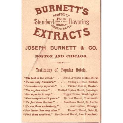 Burnett's Extracts Joseph Burnett & Co Boston Chicago c1890 Victorian Ad AE8-CH8