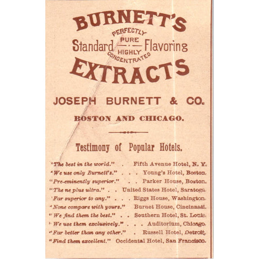 Burnett's Extracts Joseph Burnett & Co Boston Chicago c1890 Victorian Ad AE8-CH8