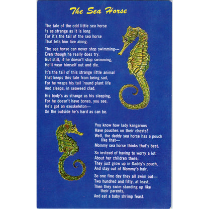 1964 Sea Horse Poem and Facts Vintage Postcard PE2