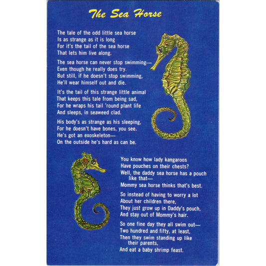 1964 Sea Horse Poem and Facts Vintage Postcard PE2