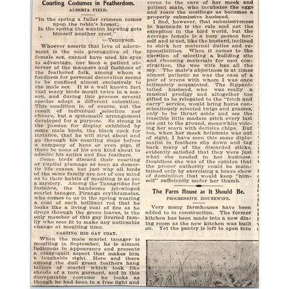 De Laval Cream Separator Co Stoddard Mfg Rutland VT 1905 Magazine Ad AF1-NEH