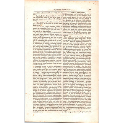 A Day in a Lunatic Asylum - 4 Pages 1854 Article I19