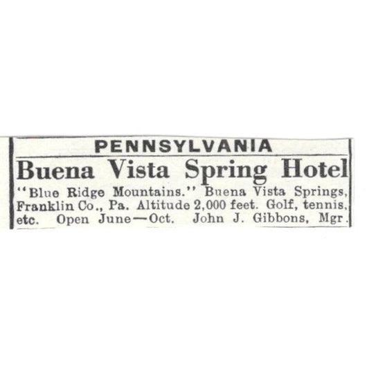 Buena Vista Spring Hotel Blue Ridge Mts John J. Gibbons c1918 Ad AE5-SV6