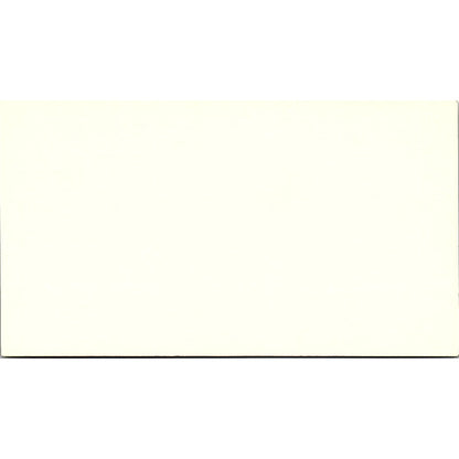 Judy's Florist & Gifts Judy Chauncey Houston, TX Vintage Business Card SF3-B8