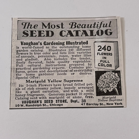 Vaughan's Seed Store Marigold Yellow Supreme Chicago IL 1936 Ad SAG4-M4