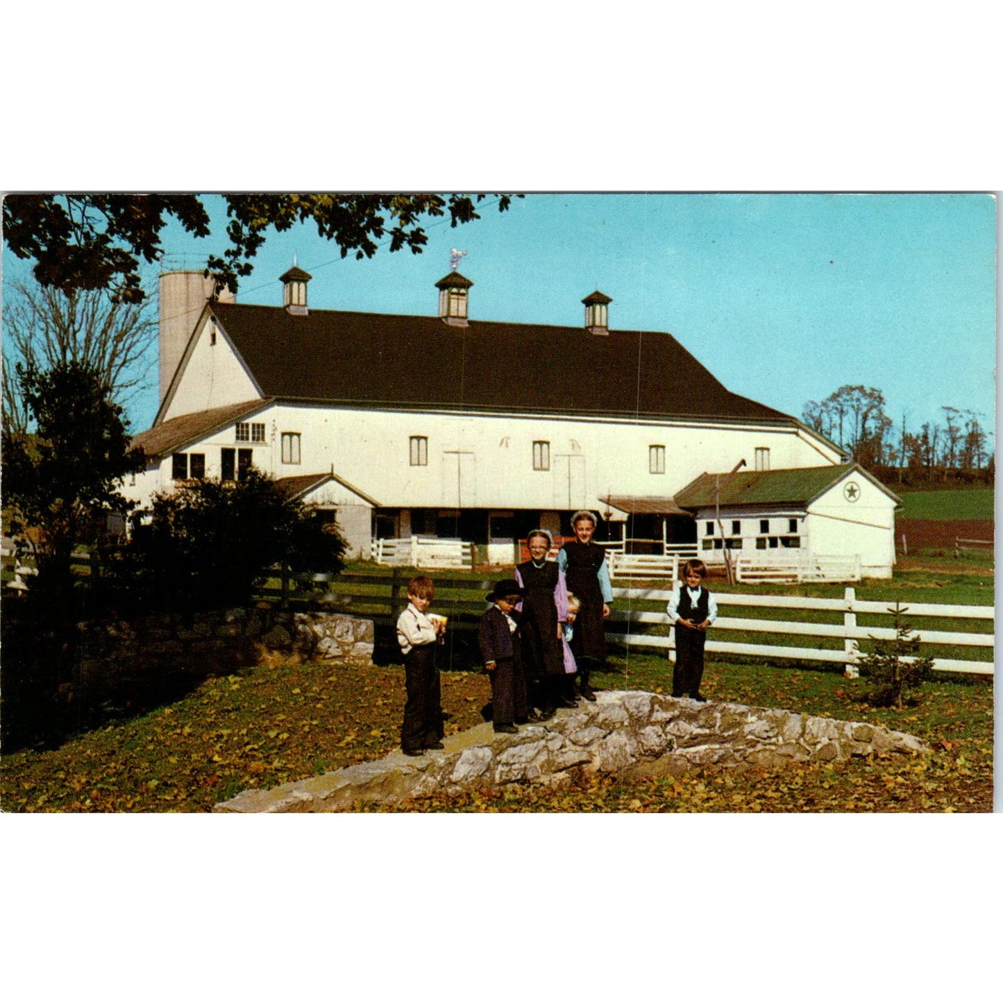 Amish Children & Hex Barn Sign Pennsylvania Dutch Country Vintage Postcard PD5