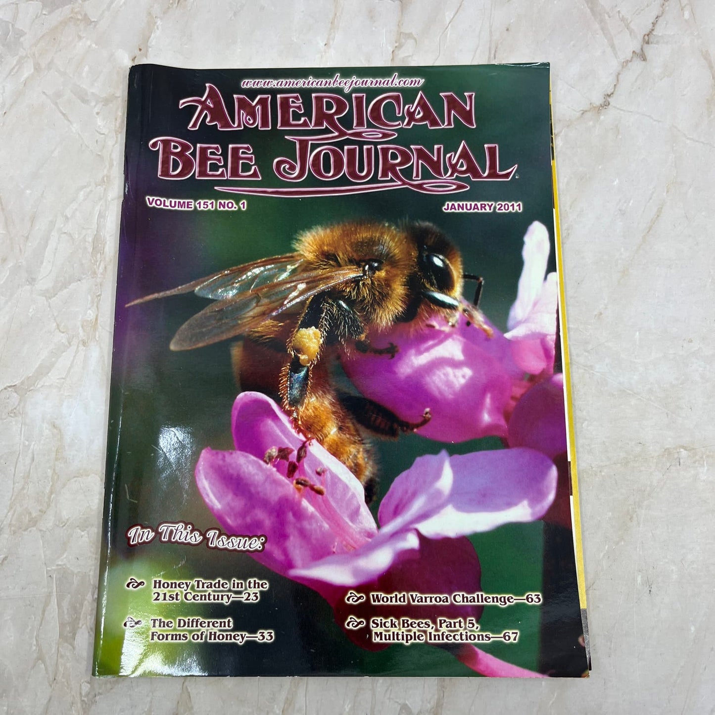 2011 Jan - American Bee Journal Magazine - Bees Beekeeping Honey M9