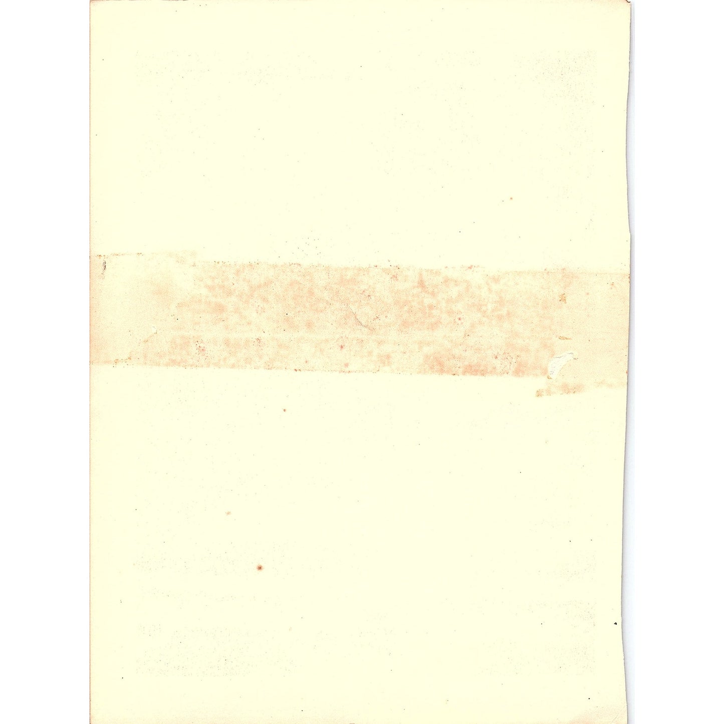 Avenue of Birches a Road in Flanders L. Sorensen Vintage Art Print 8x10 V19