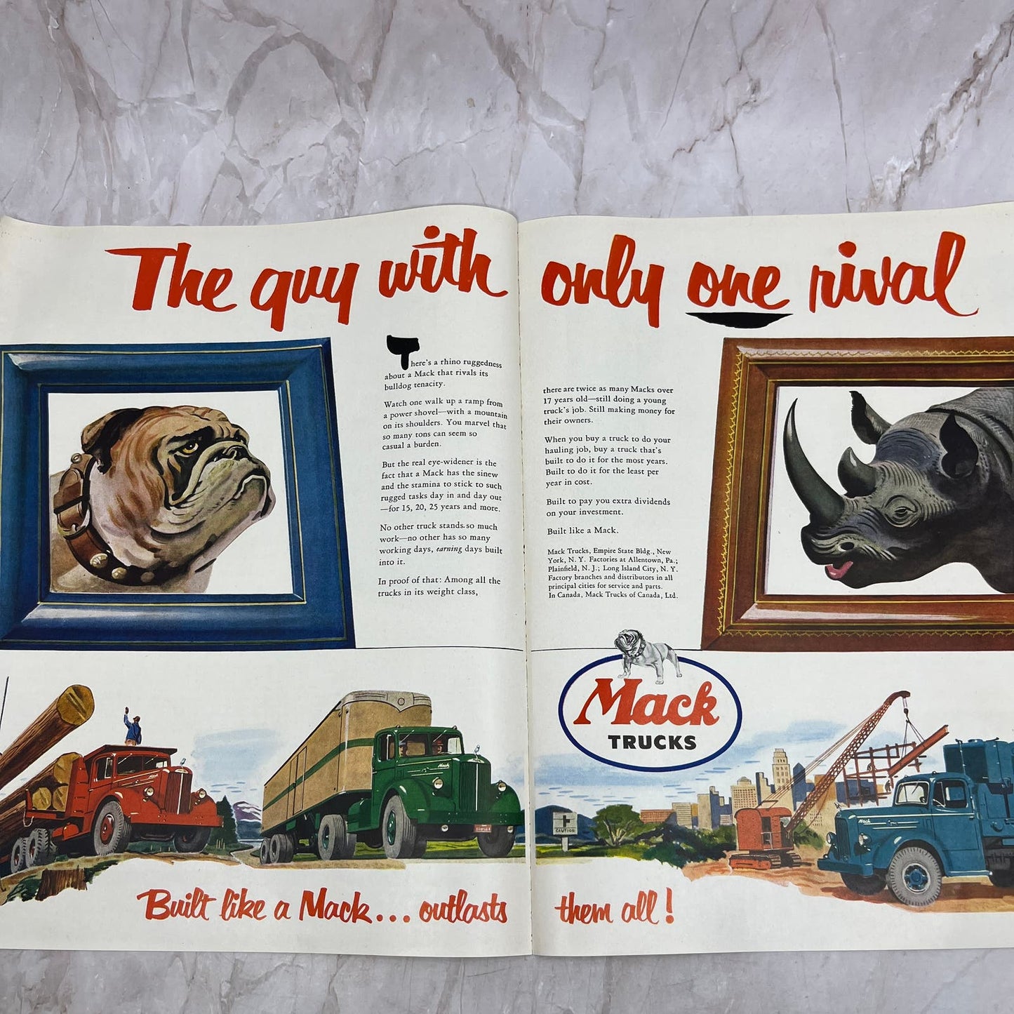 Mack Trucks Bulldog Rhinoceros 2 Page Fold Out Ad 1951 Magazine Ad FL6-10