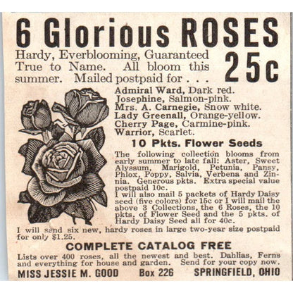 Glorious Roses Miss Jessie M. Good Springfield Ohio 1918 Magazine Ad AF1-SS2