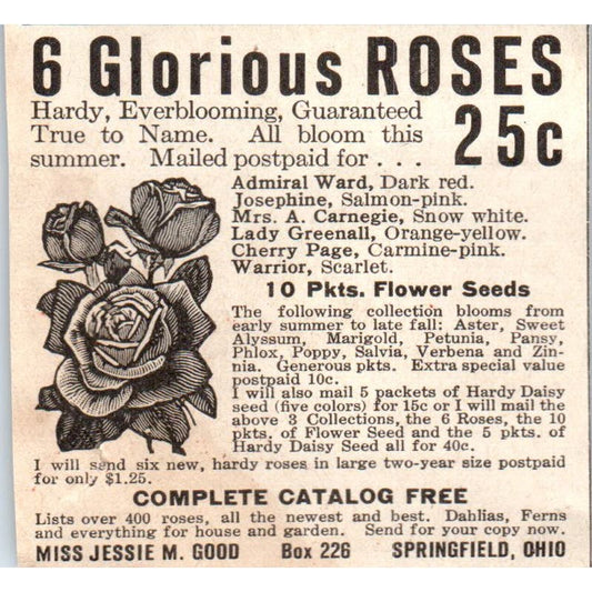Glorious Roses Miss Jessie M. Good Springfield Ohio 1918 Magazine Ad AF1-SS2