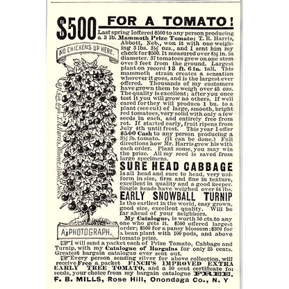 Finch's Improved Extra Early Tree Tomato F.B. Mills Rose Hill NY 1892 Ad AG2-M10