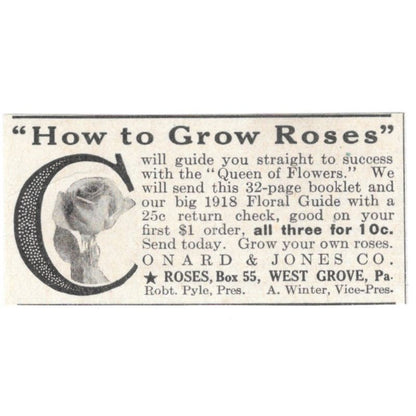 Grow Roses Robert Pyle A. Winter West Grove PA 1918 Magazine Ad AF1-SS3