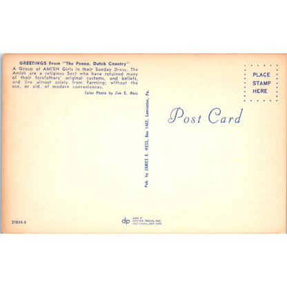 Amish Girls in their Sunday Dress PA Dutch Vintage Postcard PD4