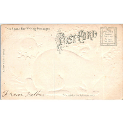 c1910 Edwardian Easter Bunny, Chick Hatching From Egg Embossed Postcard PE1