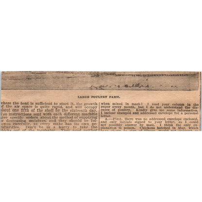 Superfluous Hair Removal Helen Douglas New York 1910 Magazine Ad AF1-CM3